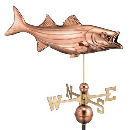 Bass - Polished Copper