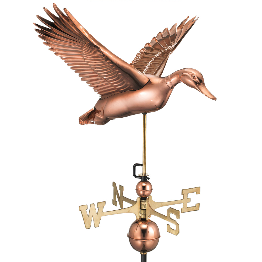 Flying Duck - Polished Copper 